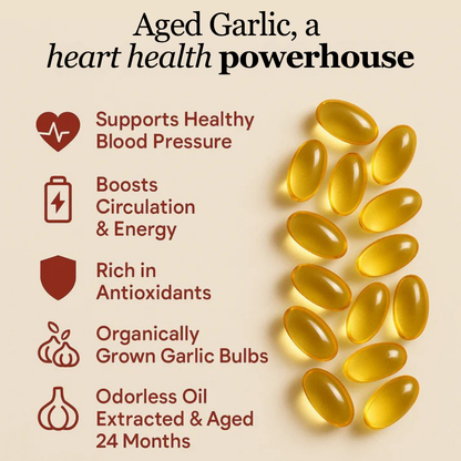 Odorless Aged Garlic Extract - 60 Softgels